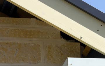 soffit repair Cradle Edge