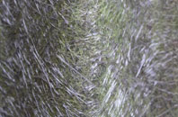 Cradle Edge fibreglass roof work